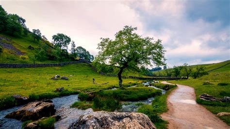 Dream - Beautiful_Country_Stream (FREE DOWNLOAD) | WinCustomize.com