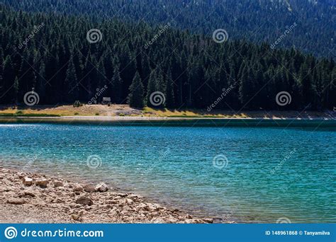 Turquoise Water Of The Lake Pine Forest And Mountains Stunning