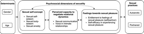 conceptual framework for research on normative adolescent sexuality download scientific diagram
