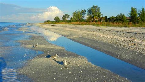 What Makes Sanibel Special And Nine Ways To Experience It