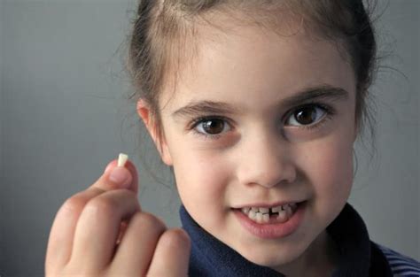 Diet cola asked in pets. Pediatric Dental Trauma | Idaho Falls | Eagle Rock