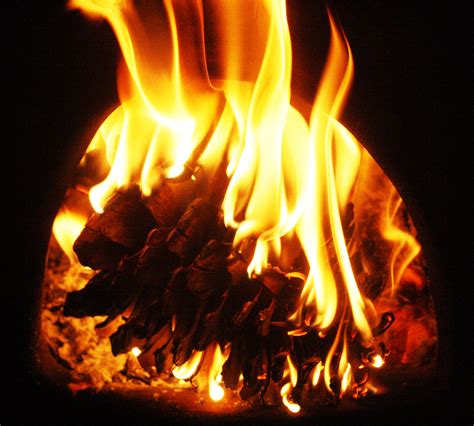 Free Images Cold Wood Autumn Flame Fire Fireplace Campfire