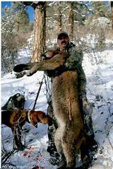 Alaska Hunting Guides And Outfitters Images