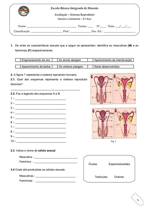 Atividades Sistema Reprodutor Masculino E Feminino 5o Ano Com Gabarito