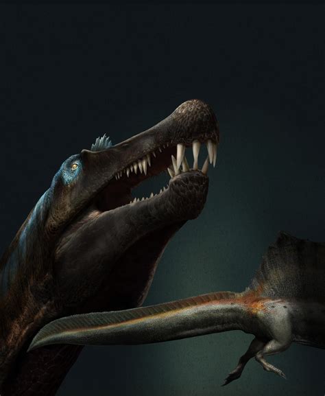Well Preserved Tail Of Terrifying Aquatic Dinosaur Shows It Was A