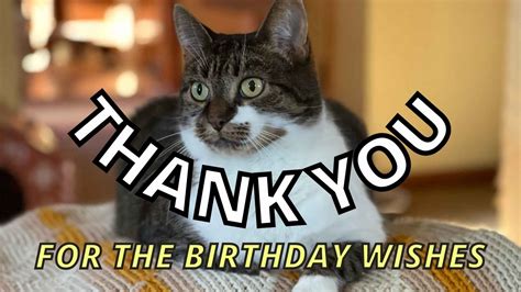 15 Fun Or Cute Thank You For The Birthday Wishes Memes