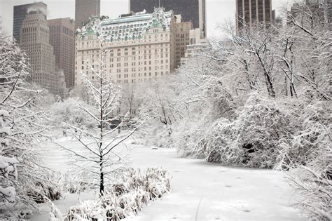 New York Citys Central Park Covered In Snow