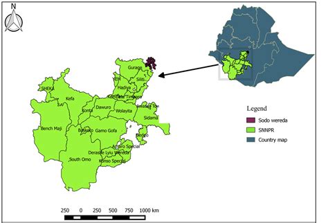 The study was conducted in yirgalem town, sidama zone, southern nations, nationalities and peoples region (snnpr) of ethiopia. Community Mobilization and Awareness Creation for the ...