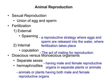 Chapter 17 Reproduction In Humans Lesson 1 Human Reproductive System