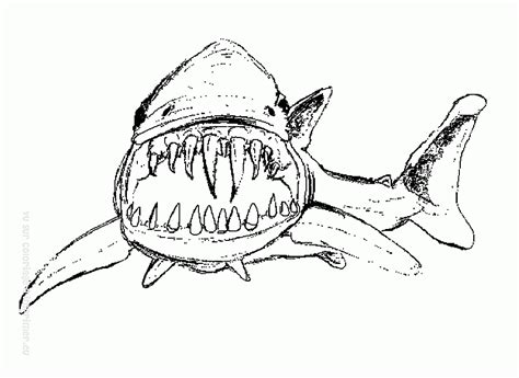 Image de requin à télécharger et colorier - Coloriage de Requins
