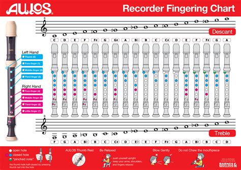 Aulos 209 Treble Recorder Uk Musical Instruments