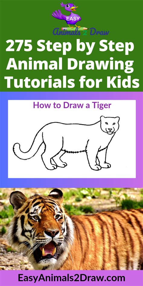 177.3kshares facebook396 twitter91 pinterest176.8k stumbleupon1 tumblrmany of us have a love for art that is lying in the corners of our minds languishing in the fear that we do not really know draw a tiger face · art projects for kids. Learn how to draw an amazing Tiger with this easy and ...