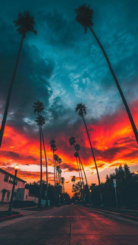 Find the best sunset background on wallpapertag. Beautiful Sunset Miami View iPhone Wallpaper | Sunset ...