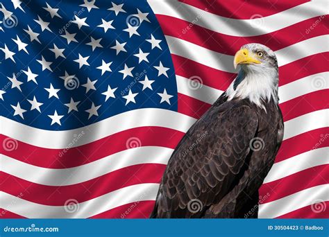 Usa Flag With Bald Eagle Stock Photos Image 30504423