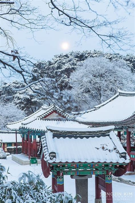 Best Things To Do In Seoul This Winter Westhighlandlodge