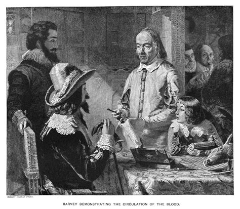 Buy William Harvey 1578 1657 Nenglish Anatomist And Physician Harvey Demonstrating The