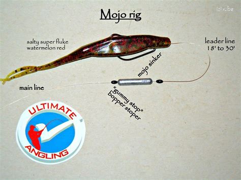 Best Bass Fishing Rigs Mojo Rig Mcgraffy Fishing Vingle