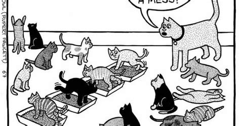 Mystery Fanfare Cartoon Of The Day Cats