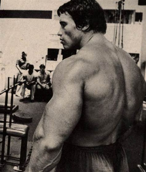 Mr Olympia On Tumblr Arnold Schwarzenegger Bodybuilding