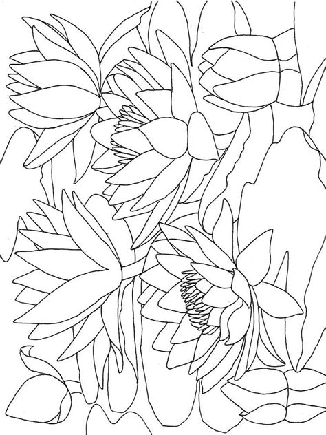 Personalized coloring page printable a4 coloring page made from. Water lily coloring pages. Download and print Water lily ...