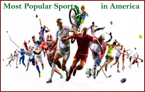 Top 20 Most Popular Sports In America 2024