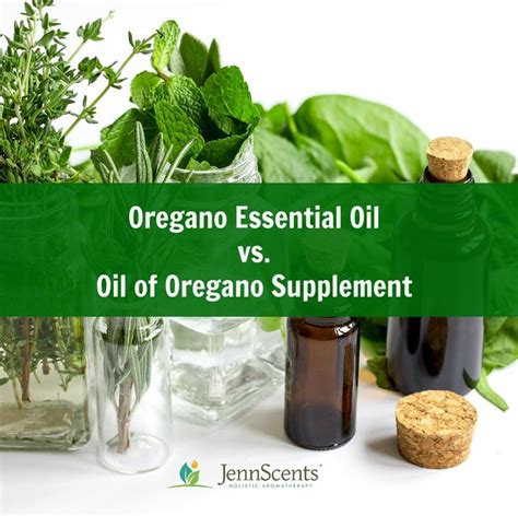 Oregano Essential Oil Vs Oil Of Oregano Supplement Health Benefits