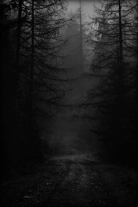 Photo By Eberhard Grossgasteiger On Unsplash Rememberless Dark Landscape Forest Aesthetic