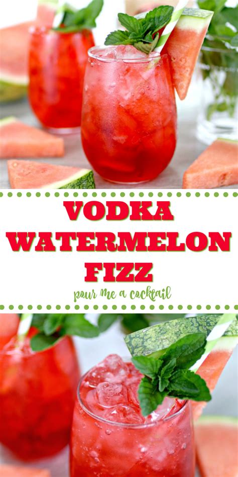 🍉 Watermelon Vodka Fizz Summers Best Drink 🍹 Recipe Watermelon