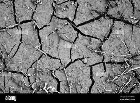 Dried Cracked Earth Soil Ground Texture Abstract Background Stock