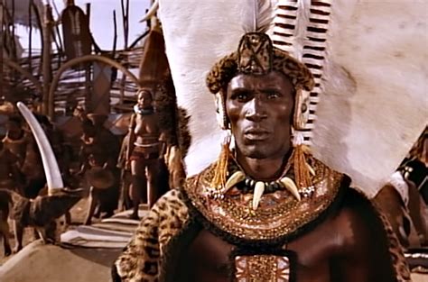 Shaka Zulu Warrior King