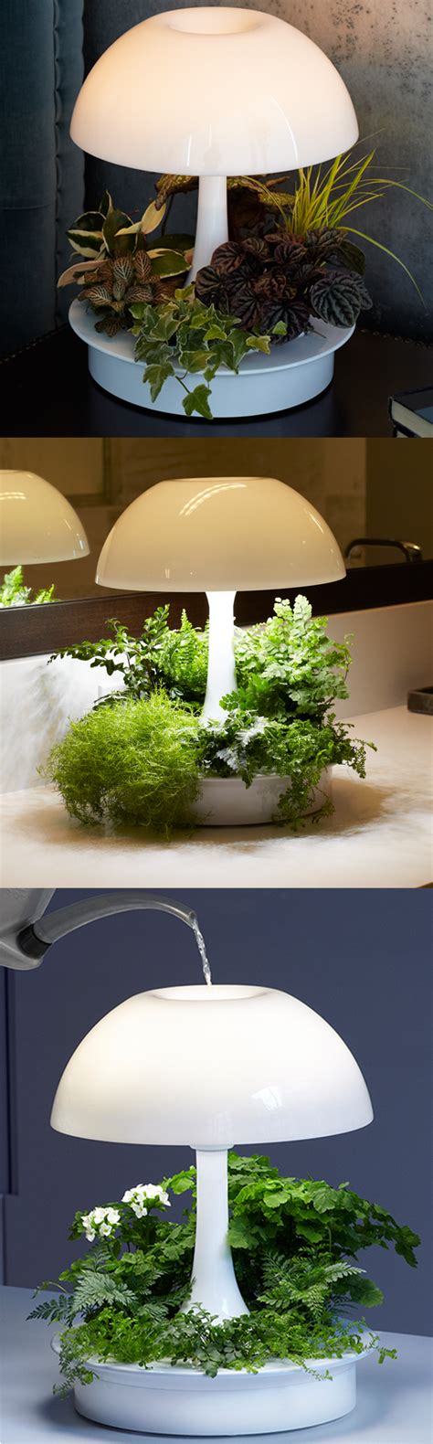 How should i make the connection? Living Plant Wall Systems | Sagegreenlife | Indoor plants ...