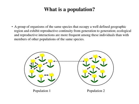 Ppt Properties Of Populations Powerpoint Presentation Free Download Id 2347985