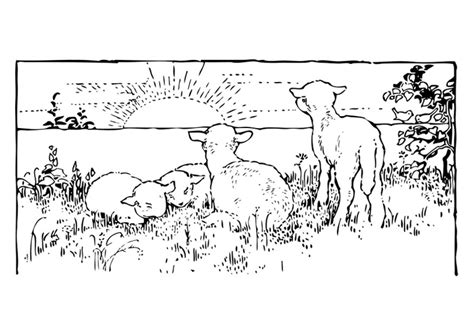Kleurplaat landschap met lammetjes. Gratis kleurplaten om te printen