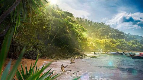 Create Beautiful Tropical Landscape In Photoshop Photoshop Roadmap