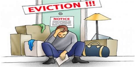 The Top 7 Reasons Why Tenants Get Evicted Nmi Eviction Services