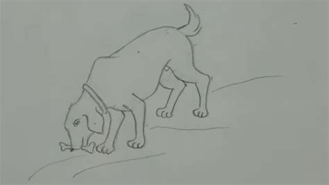 How To Draw Bone Eating Dog Step By Step In Easy Way For Beginners