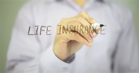 Life Insurance By Stockwood On Envato Elements