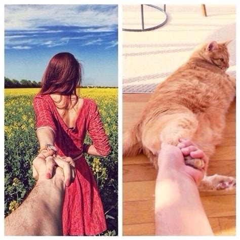Hilarious Expectation Vs Reality Pictures Quizai