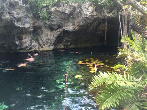 Gran Cenote Tulum Mexico Tulum Outdoor Mexico