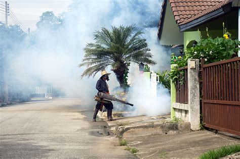 Fumigate Mosquito Killing To Prevent Disease Fumigadora Panamá Express