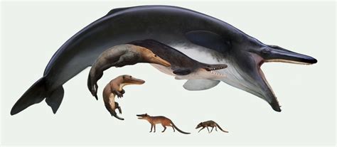 Ville Sinkkonen On Prehistoric Animals Prehistoric Creatures