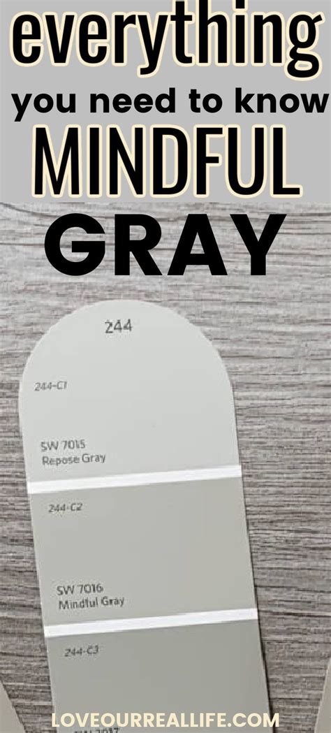 Mindful Gray Sw 7016 Is It The Right Gray For You ⋆ Love Our Real