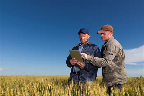 The Importance Of Connectivity On The Farm Decisive Farming By Telus Agriculture