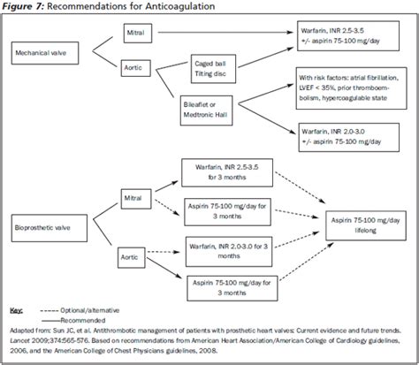 Complications Of Prosthetic Heart Valves In The Emergency Department