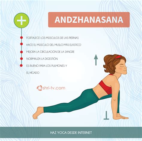 Beneficios De Las Posturas De Yoga Iyengar Yoga Ashtanga Yoga Yoga