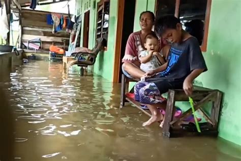banjir rendam ratusan permukiman di bangka belitung antara news