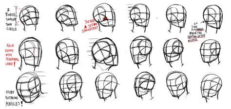 How To Draw A Head Loomis Approach Face Drawing Human Face Drawing