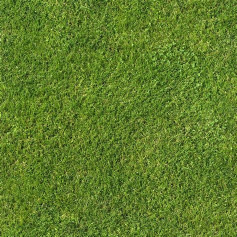 Grass Texture Seamless Seamless Texture Grass Textures Lawn Field Wild