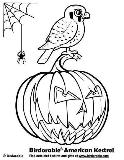 Free Coloring Pages With Cute Cartoon Birds By Birdorable Coloring