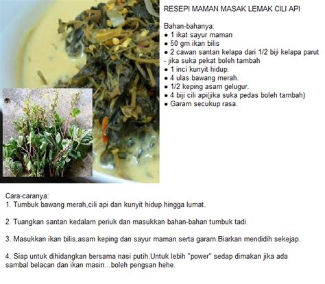 Resepi Masak Lemak Cili Api | Favorite recipes, Food, Recipes